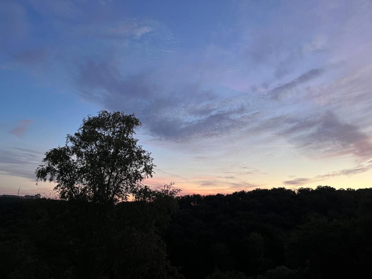 Ferienwohnungen Waldblick レムシャイト エクステリア 写真